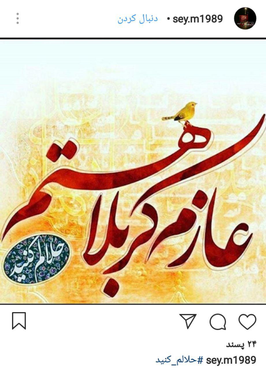 وداع مجازی زائران کربلا با هشتک حلالم کنید+ تصاویر