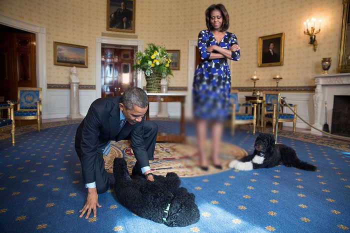 حیوانات خانگی رهبران مشهور سیاسی را بشناسید +تصاویر