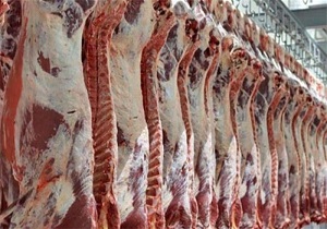 تولید هزار و ۲۰۰ تن گوشت در طرح زنجیره