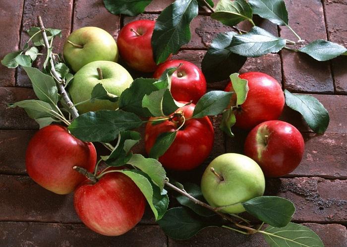علت افزایش قیمت سیب درختی چیست؟