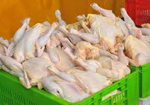 تامین شش میلیون قطعه مرغ در کشتارگاه‌های صنعتی طیوردر خراسان شمالی