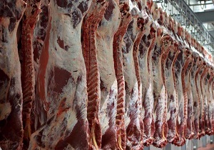 تزریق پنج تن گوشت قرمز گرم هر هفته به بازار در قزوین