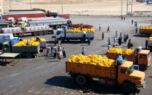 صادرات بیش از 76 تن محصولات کشاورزی به عراق