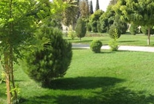 شهر اصفهان بیش از 5 هزار 700 هکتار فضای سبز دارد