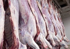 توزیع ۳۲۵ تن گوشت گرم و منجمد در بازار استان قزوین