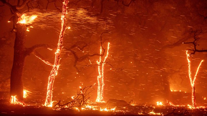 مرگبارترین آتش سوزی قرن در کالیفرنیا آمریکا +فیلم