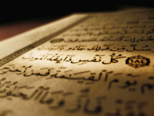 سوره‌های با فضیلت برای اموات/ حکم دریافت پول برای خواندن قرآن چیست؟