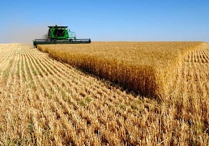 پرداخت ۹۲ میلیارد تومان تسهیلات کشاورزی در خراسان جنوبی
