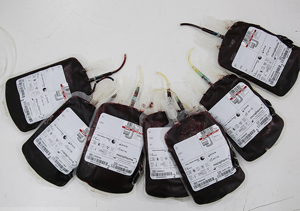 کاهش اهدای خون در فصل سرما درگلستان/ همه گروه های خونی نیاز است