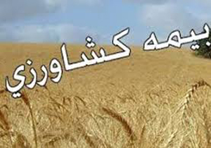 ۳۰ دی ماه، آخرین مهلت برای بیمه محصولات کشاورزی در استان فارس