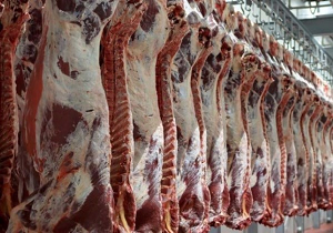 گوشت قرمز با نرخ دولتی در مهریز عرضه می شود