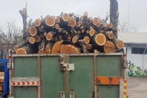 کشف چوب قاچاق از یک دستگاه کامیون