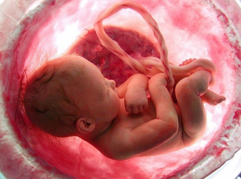 عجایبی جالب و باورنکردنی از حرکات جنین، لحظاتی پیش از تولد+ فیلم