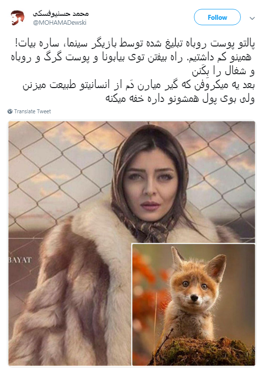 تبلیغ پالتو پوست روباه توسط سفیر صنایع دستی! +تصویر
