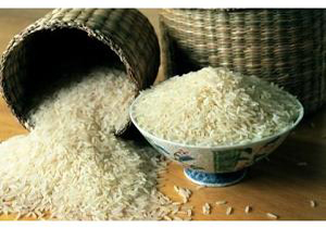 تولید سالانه ۲۲ هزار تن برنج سفید درنور