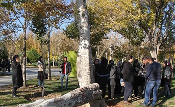 تیم کارشناسی فضای سبز شهرداری تک تک درختان را بررسی می کند
