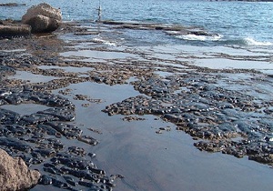 آلودگی نفتی به ساحل روستای بوطاهری هندیجان رسید