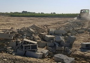 آزاد سازی پنج هزار مترمربع از اراضی کشاورزی سلسله