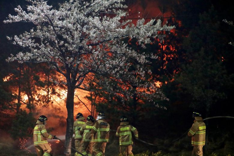 اعلام وضع فاجعه ملی در کره جنوبی ­در پی وقوع آتش‌سوزی در اراضی جنگلی + تصاویر
