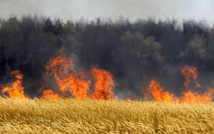 هشدار آتش سوزی مراتع و جنگل‌های جنوب کرمان در تابستان