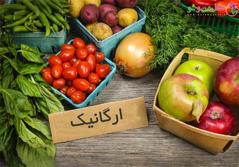 رتبه ۴۳ جهانی ایران در تولید محصولات ارگانیک/تولید محصولات ارگانیک در ایران به کمتر از یک درصد می‌رسد