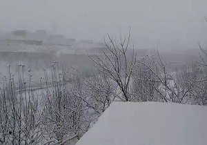 بارش برف زمستانی در روستای «توشمانلو» میانه + فیلم