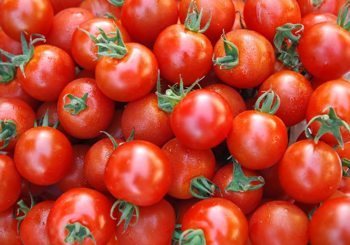 قیمت گوجه فرنگی کیلویی چند است؟