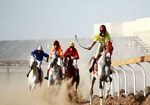 معرفی نفرات برتر رقابت‌های کورس اسب اصیل عرب در اهواز