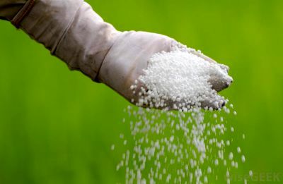 توزیع بیش از ۳ هزار تن انواع کود‌های شیمیایی بین کشاورزان شیروانی