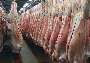 تولید بیش از ۳ هزار تن گوشت قرمز در شهرستان نمین