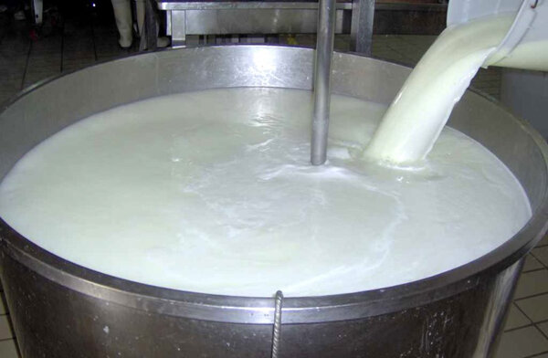 تولید روزانه ۱۷۰ تُن شیر خام در تربت‌جام