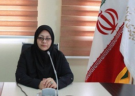 اثر گذاری کتابخانه های عمومی در فرهنگ جامعه