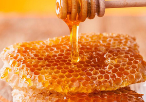 تولید بیش از ۶ هزار تن عسل در مازندران