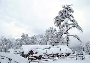 ثبت بیشترین میزان بارش برف در کیاسر