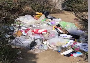 گلایه از زباله‌های رها شده در پارک جنت‌آباد جنوبی + فیلم