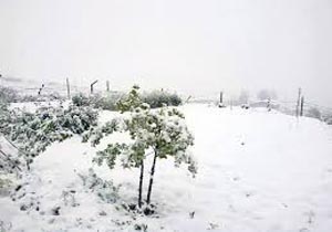 ثبت بیشترین میزان بارش برف در شوراب