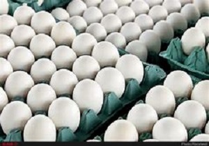 توقیف ۵۲ دستگاه تریلی حامل تخم مرغ قاچاق در مریوان