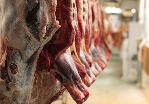 تولید بیش از ۲۵۰۰ تن گوشت قرمز در شهرستان نیر