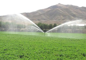 صرفه‌جویی ۱۱ میلیون متر مکعب آب در بخش کشاورزی