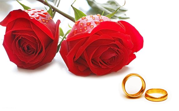 عجیب‌ و غریب‌ترین خواستگاری‌های جهان