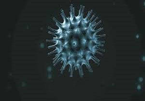 شناسایی بیش از ۷۰ نفر مشکوک به کرونا ویروس