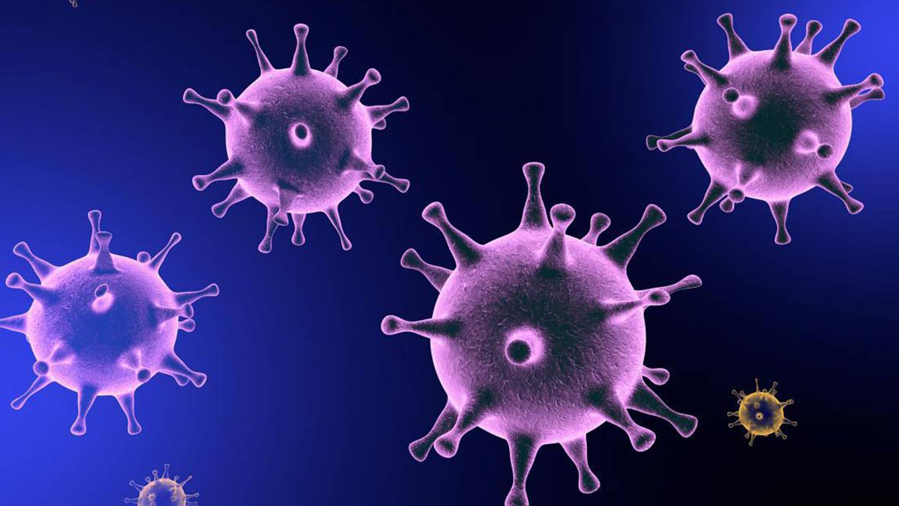 احتمال افزایش مبتلایان به کرونا طی دو هفته آینده/قرنطینه خانگی چرخه انتقال ویروس را قطع می‌کند