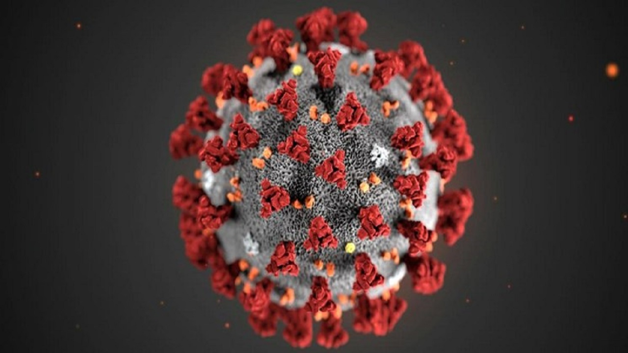 ویروس کرونا؛ چه افرادی ناقل بیماری هستند؟