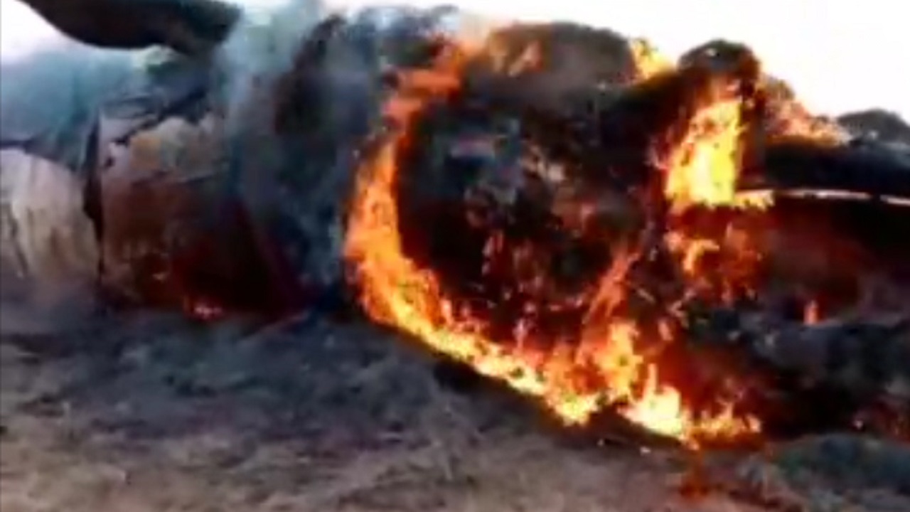 آتش زدن لاشه نهنگ غول پیکر در ساحل لیلتین + فیلم