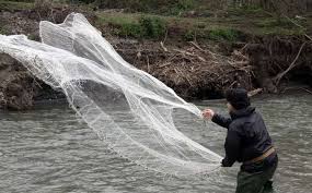 ممنوعیت صید ماهی در رودخانه مرزی آستاراچای