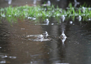 ثبت بیش از ۱۳ میلی متر میزان بارندگی در مهاباد