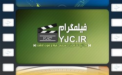 پرنده ای که جنگنده آمریکایی را در آسمان منهدم کرد + فیلم
