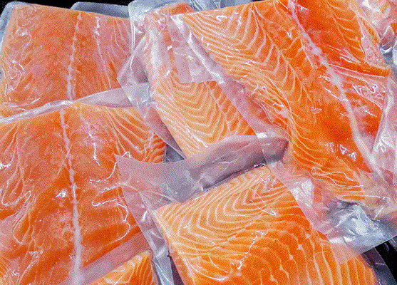 قیمت انواع ماهی بسته بندی در بازار