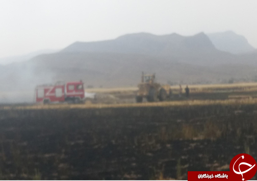 آتش سوزی بیش از ۳۰ هکتار از مزارع شیراز
