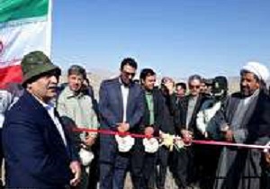 افتتاح ۱۴۵ هکتار طرح نهال کاری در شهرستان نهبندان